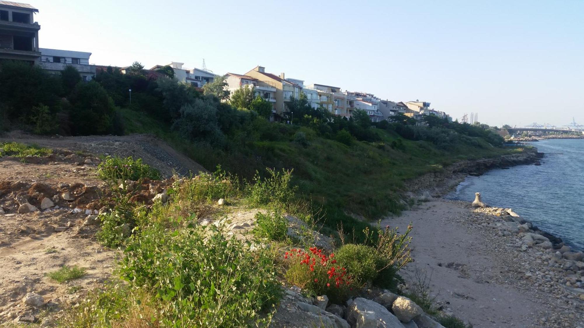 Casa Tatiana Otel Eforie Nord Dış mekan fotoğraf